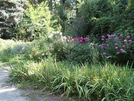 E. Gareyev Botanical Garden